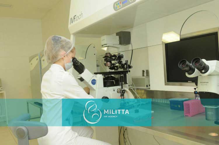 LITA医院胚胎实验室主任