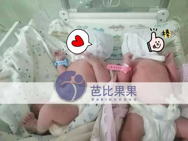 马丽塔自卵试管助孕的x女士的双胞胎宝宝在除夕夜出生